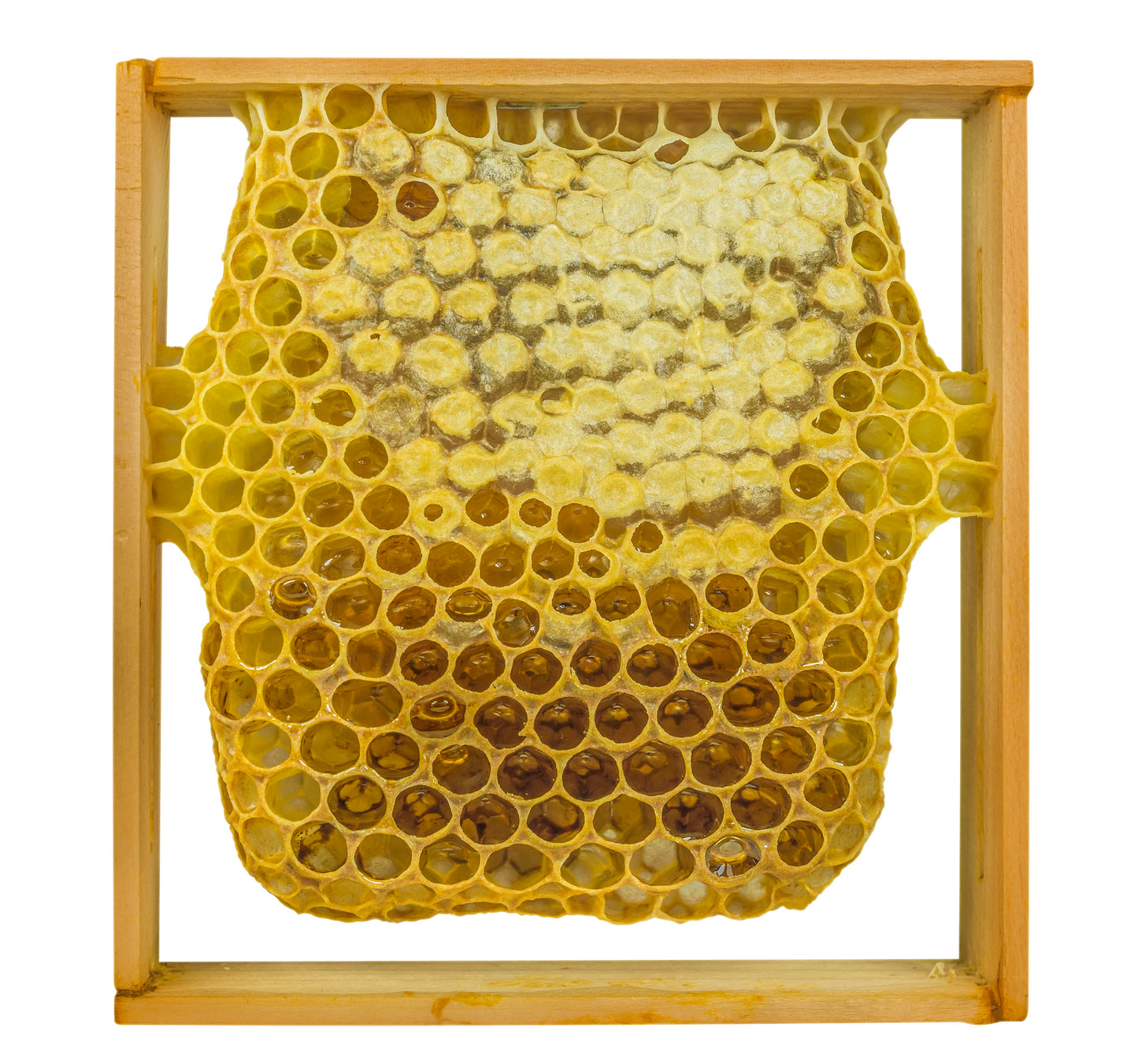 Fresh Honeycomb Carving Station (+Add-On)
