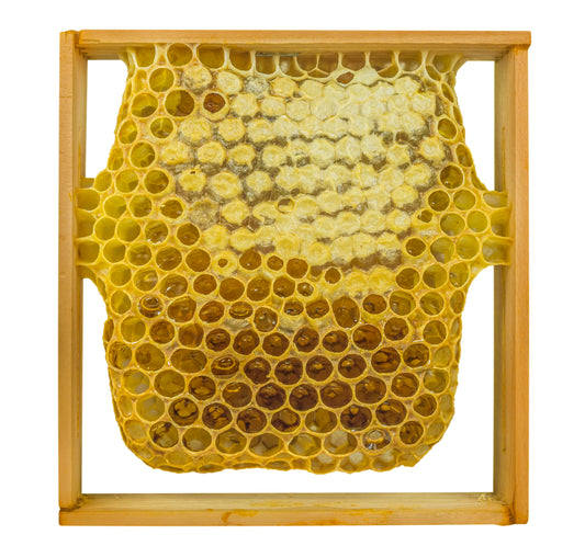 Fresh Honeycomb Carving Station (+Add-On)